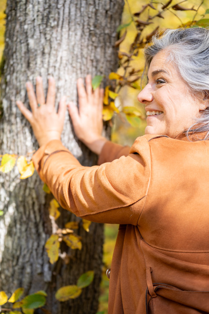 Formation professionnels